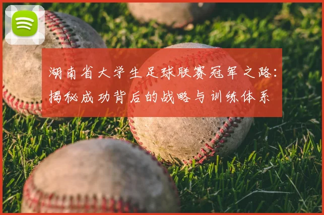湖南省大学生足球联赛冠军之路：揭秘成功背后的战略与训练体系