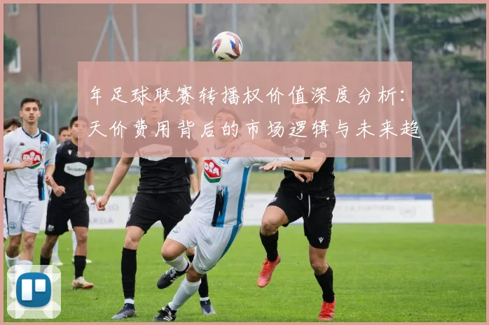 年足球联赛转播权价值深度分析:天价费用背后的市场逻辑与未来趋势