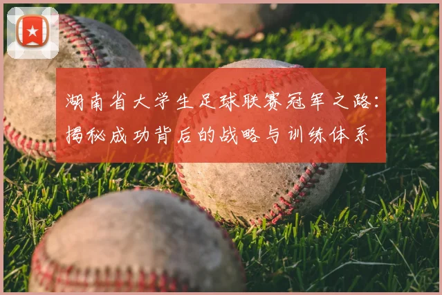 湖南省大学生足球联赛冠军之路:揭秘成功背后的战略与训练体系